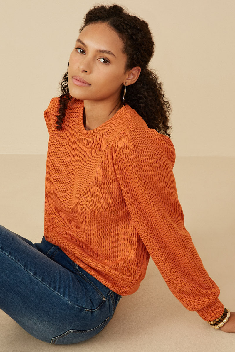 HY7527 Rust Womens Ribbed Knit Banded Detail Mock Neck Top Full Body