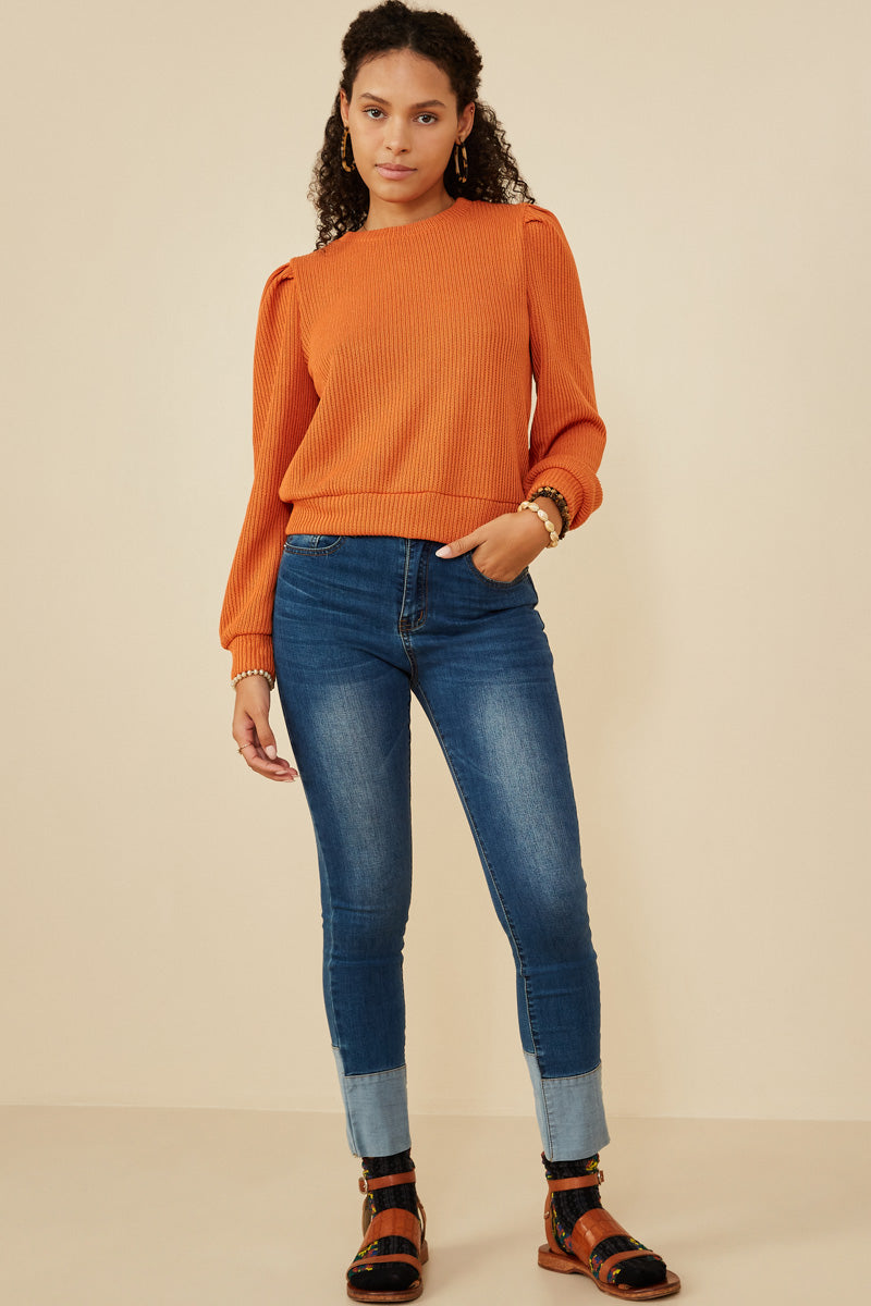 HY7527W Rust Plus Ribbed Knit Banded Detail Mock Neck Top Gif